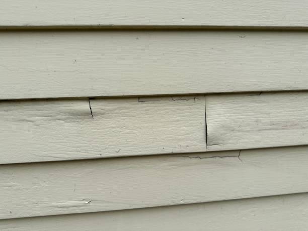 Professional Siding in Halstead, KS